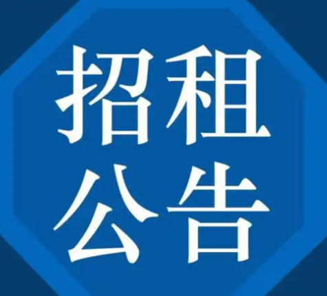 濟(jì)南電子商務(wù)(生產(chǎn)性)倉儲(chǔ)物流服務(wù)園項(xiàng)目（一期)1號(hào)樓招租公告（2026.5.8）